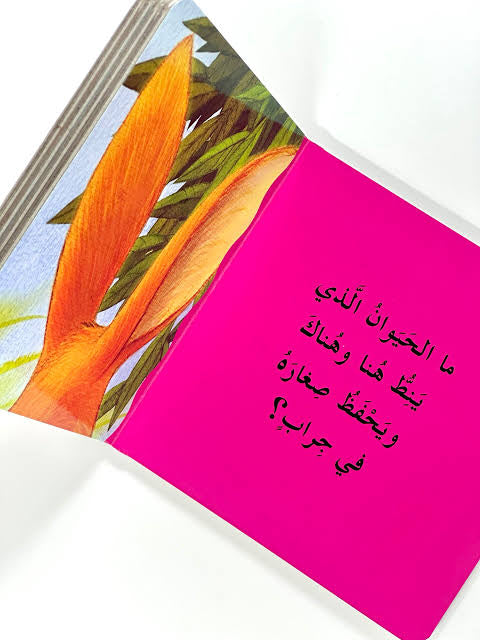 أذنا من هاتان؟ سلسلة لمن هذا؟ - ورق مُقوّى