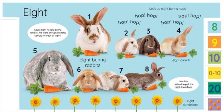 My First Numbers – Interactive Tabbed Board Book for Counting