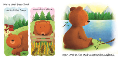What Does Bear Like? Touch and Feel Interactive Board Book for Babies & Toddlers (Ages 6m–3 y)