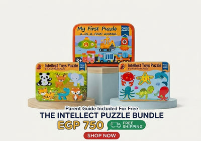 The Intellect Puzzle Bundle 1 : 3-in-1 Progressive Wooden Puzzle Sets in Storage Tins (18 Puzzles Total) with Free Parent Guide (Ages 3+ Years)