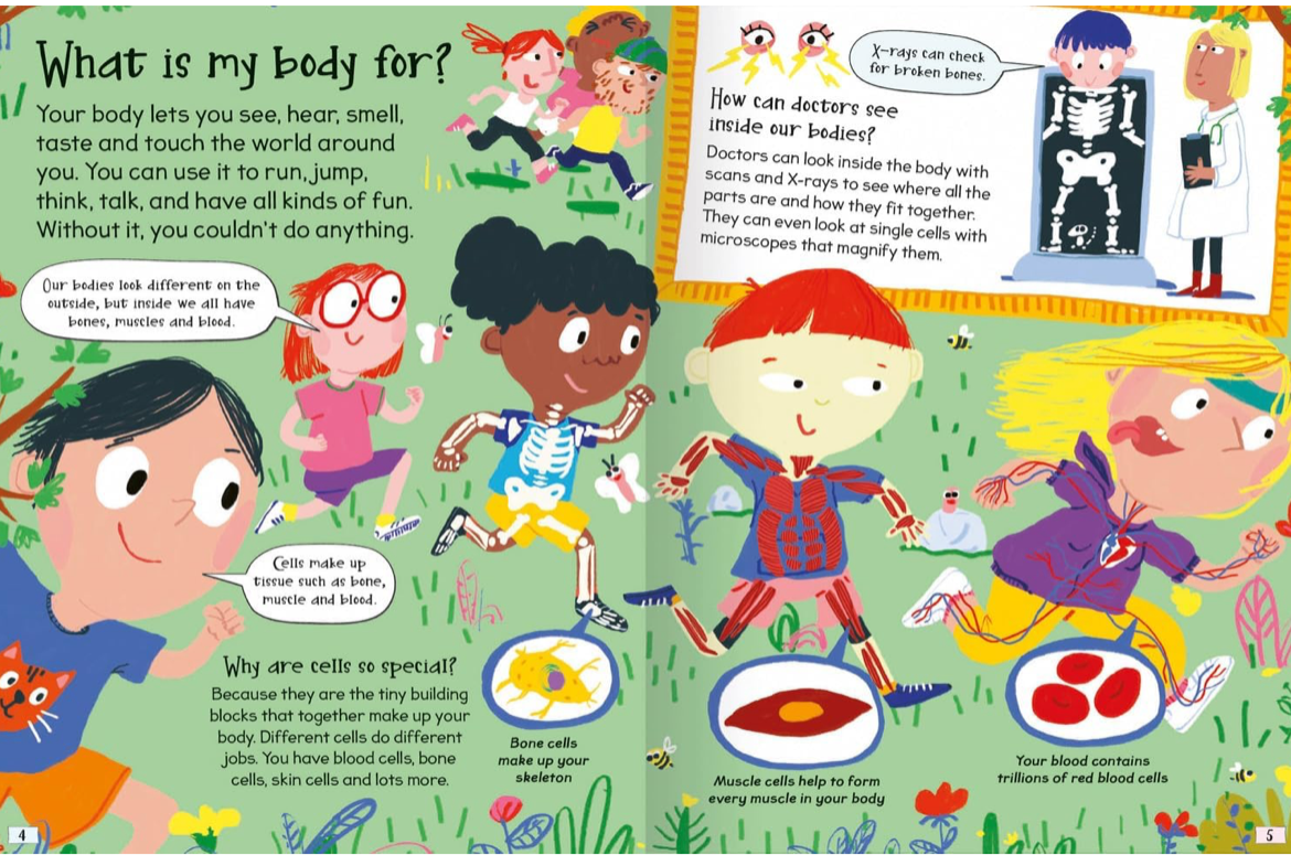 Curious Questions & Answers About My Body – Super Fun Fact Book for Kids