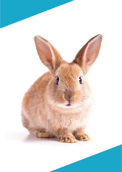 كروت بذور الجزء الأول