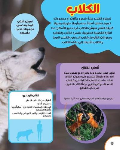 كتاب "موسوعتي الأولى: الحيوانات" المصور للأطفال