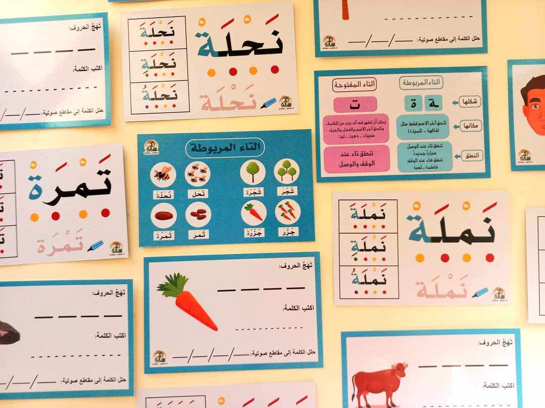 كروت قرائيات اللغة العربية (اكتب وامسح) – ١١٣ بطاقة-المنهج المتكامل لتحليل وتركيب الكلمات