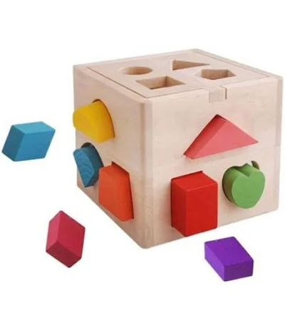 Montessori Wooden Shape Sorter Cube