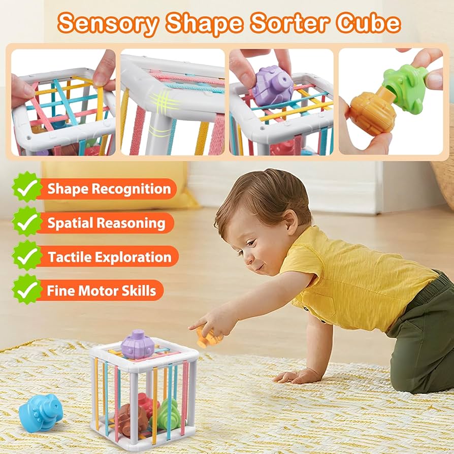 Intelligence Sensory Shape Box – Elastic Shape Sorter Toy for Kids