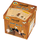 Recall – تاريخ مصر