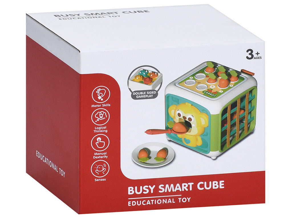 Montessori Busy Activity Cube for Toddlers – Multifunctional Learning Toy