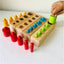 Montessori wooden knobbed cylinder  set