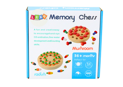 Memory chess toy