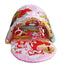 2-in-1 Baby Activity Gym & Play Tent – Safe BPA-Free Play Mat for Infants