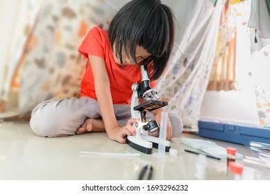 Microscope 1200x toy