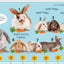 My First Numbers – Interactive Tabbed Board Book for Counting