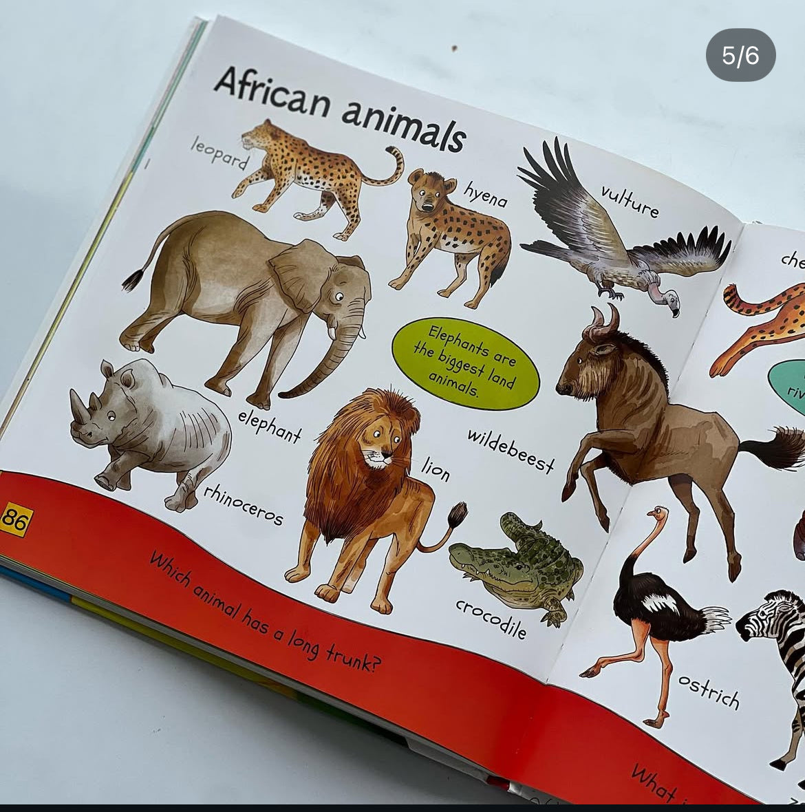 First Words and Numbers – Early Learning Reference Book