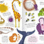Curious Questions & Answers about Animals
