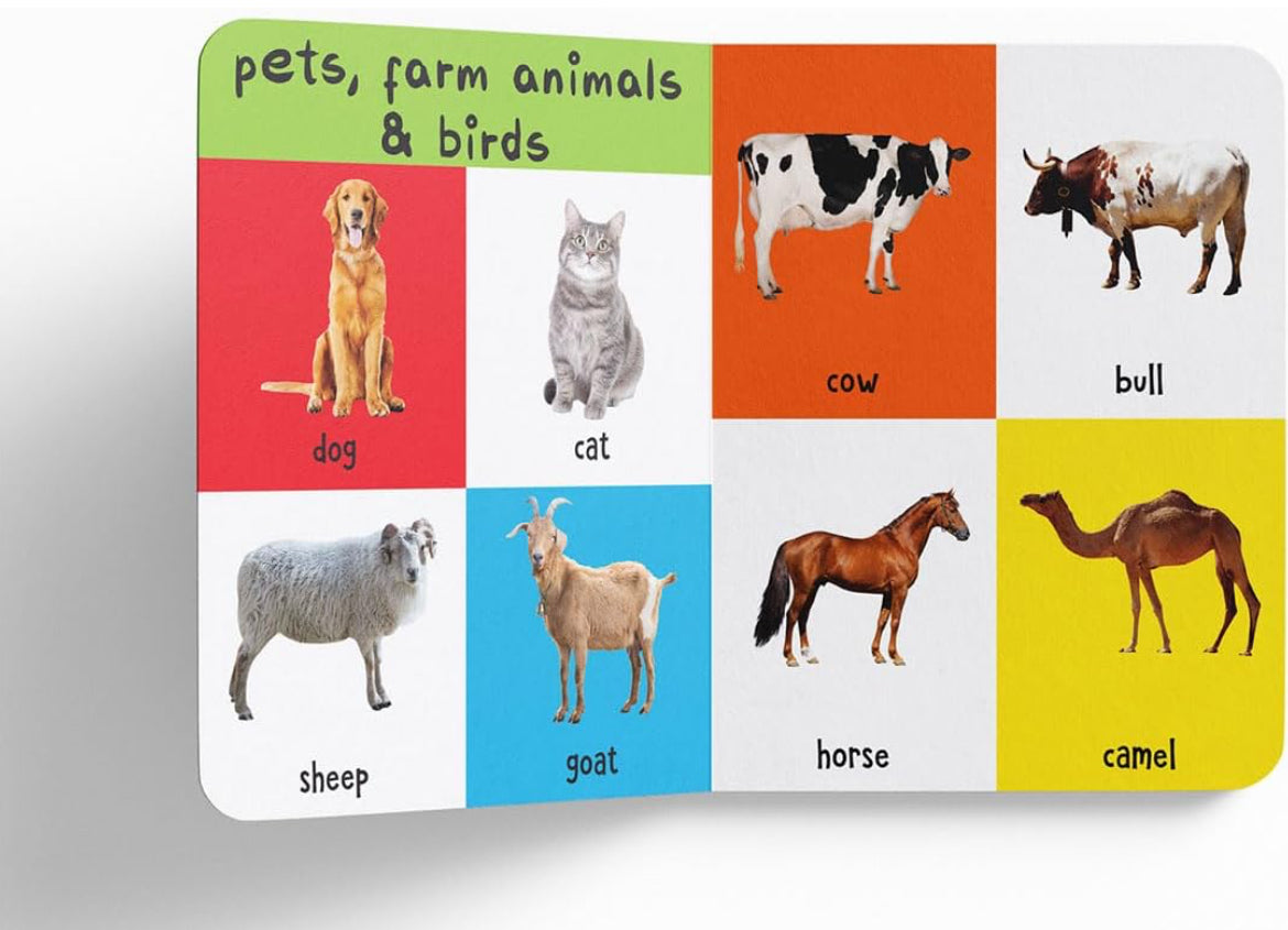 WonderHouse My first 4 in 1 Animals Hard Book