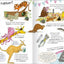 Curious Questions & Answers about Animals