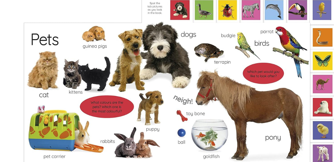 My First Animals – Interactive Tabbed Board Book for Early Discovery