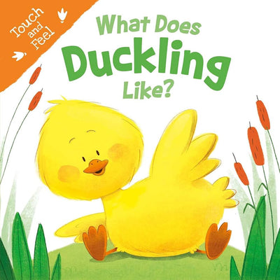 What Does Duckling Like? Touch and Feel Interactive Board Book for Babies & Toddlers (Ages 6m–3)
