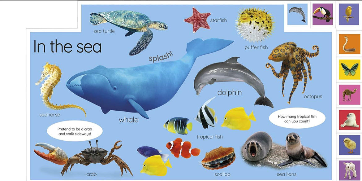 My First Animals – Interactive Tabbed Board Book for Early Discovery