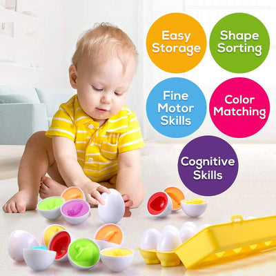 Matching eggs set- 24 pieces