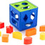 Shape Sorting Cube with 9 Shape and Different Color