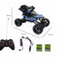 Pioneer Racing RC Climbing Car – 4WD Water Bullet Off-Road Monster Truck
