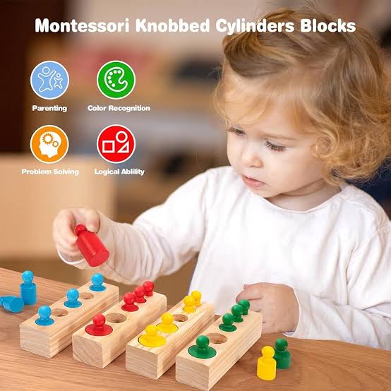 Montessori wooden knobbed cylinder  set