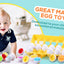 Matching eggs set- 24 pieces