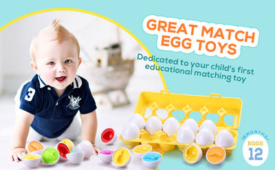 Matching eggs set- 24 pieces