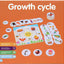 Growth Cycle Montessori Puzzle