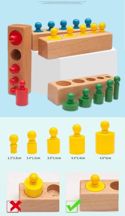 Montessori wooden knobbed cylinder  set