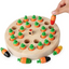 Memory chess toy