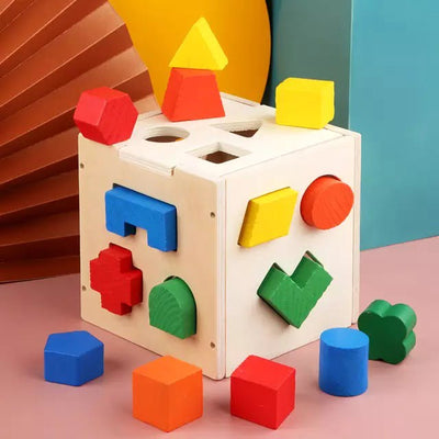 Montessori Wooden Shape Sorter Cube