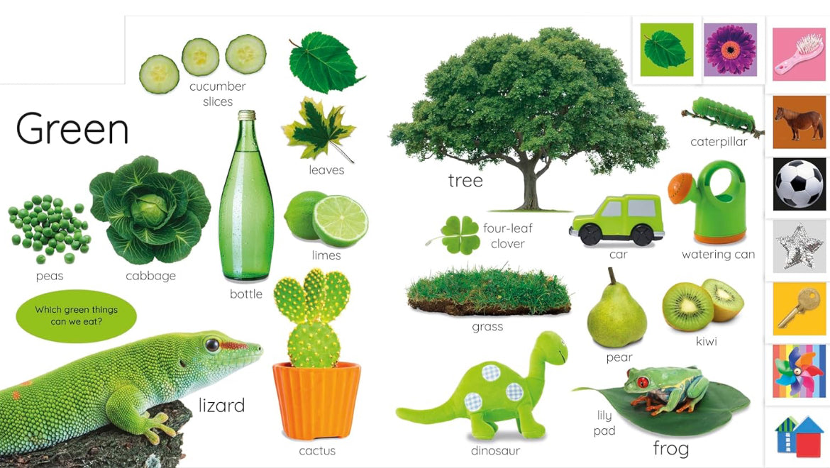 My First Colors – Interactive Tabbed Board Book for Early Learning