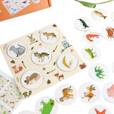 Wooden Food Chain Puzzle – Educational Animal Food Chain Learning Toy for Kids +4 Years