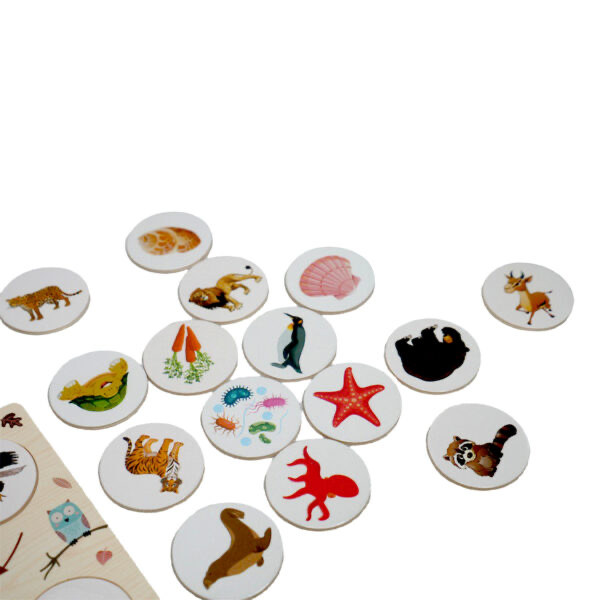 Wooden Food Chain Puzzle – Educational Animal Food Chain Learning Toy for Kids +4 Years