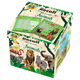 Recall: Animals" Visual Memory & Trivia Card Game with Sand Timer & Dice (70 Cards, Ages 8+)