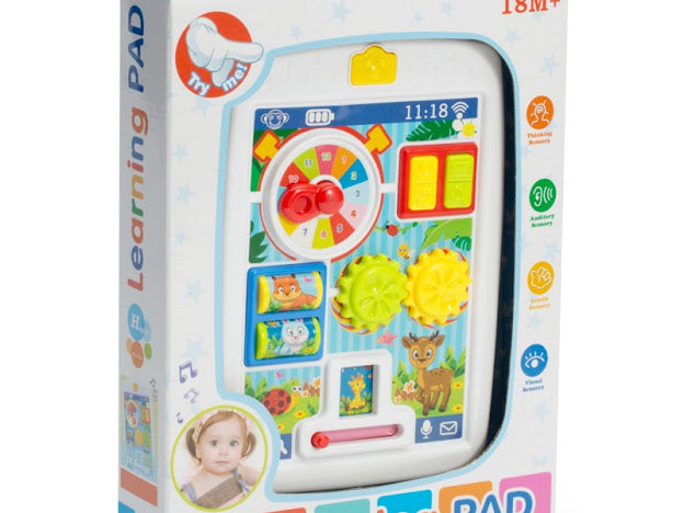 Baby learning pad toy