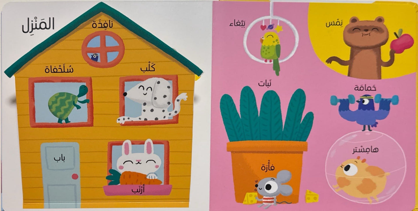 أول 100 كلمه - الحيوانات