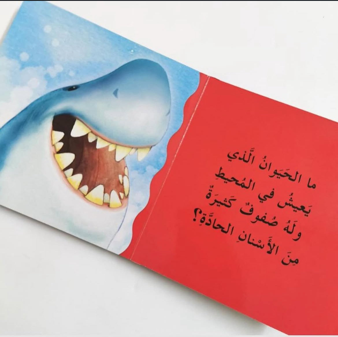 أسنان من هذه؟ - سلسلة لمن هذا؟ - ورق مُقوّى