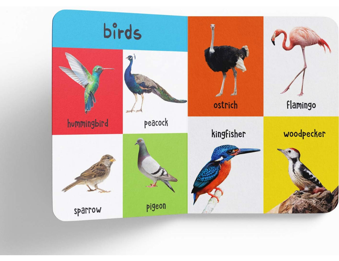 WonderHouse My first 4 in 1 Animals Hard Book
