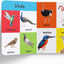 WonderHouse My first 4 in 1 Animals Hard Book