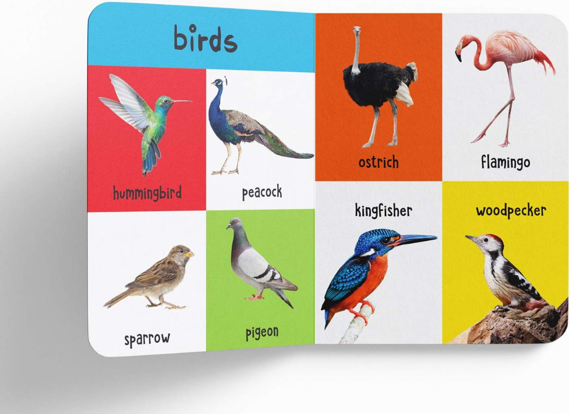 WonderHouse My first 4 in 1 Animals Hard Book