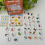Growth Cycle Montessori Puzzle