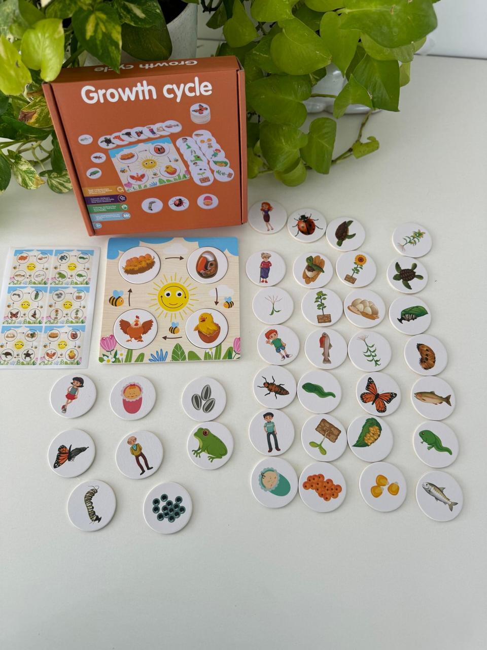 Growth Cycle Montessori Puzzle