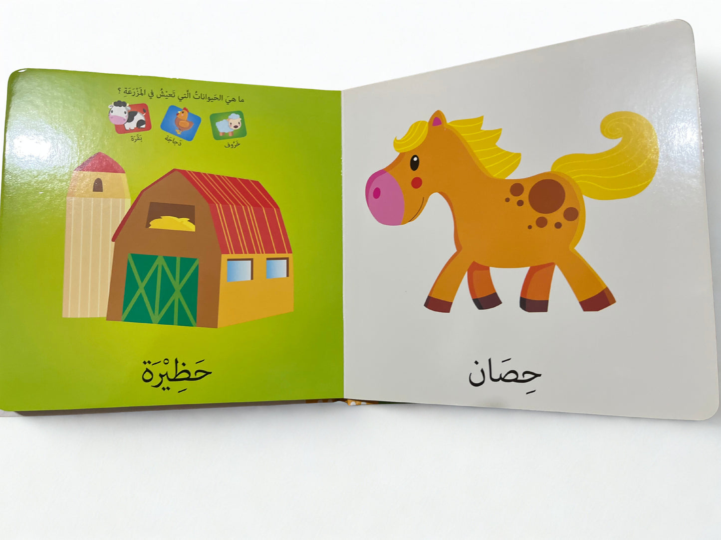 كلماتي الأولي