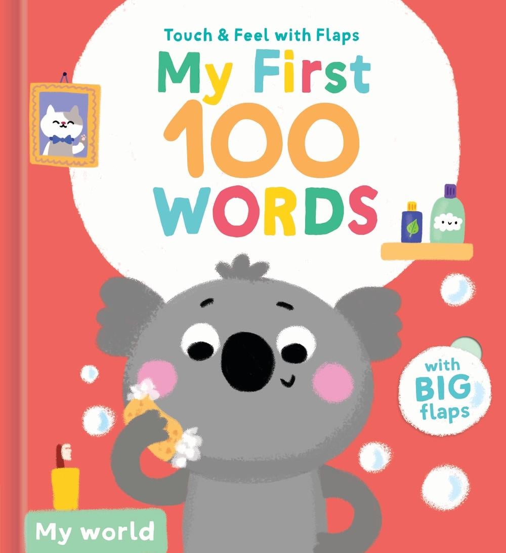 My First 100 Words-My world