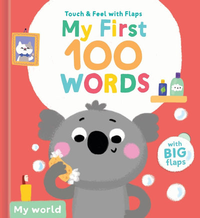 My First 100 Words-My world