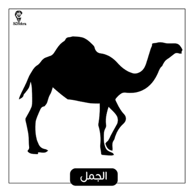 كروت أبيض و أسود